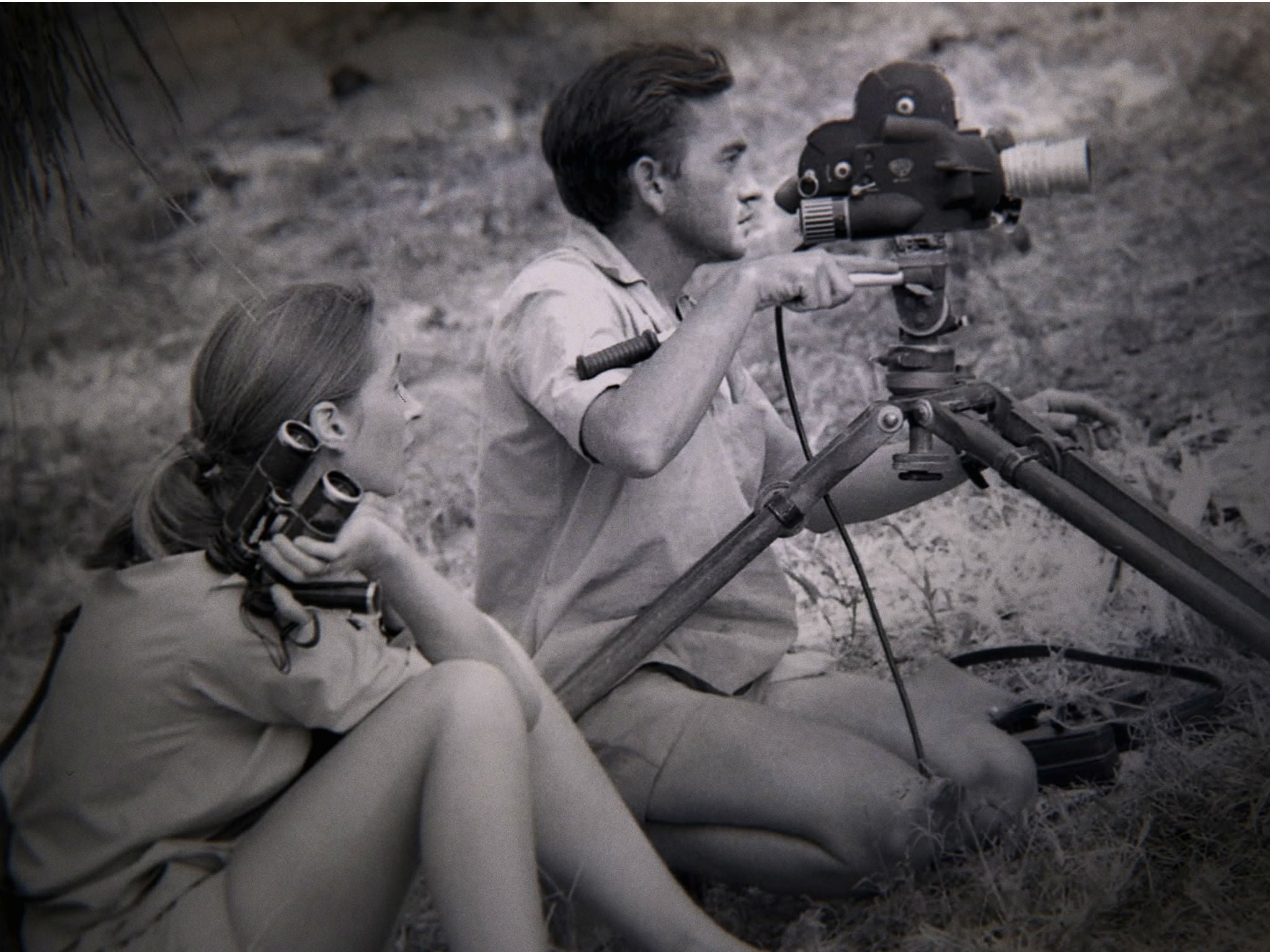 Goodall and Hugo van Lawick worked together in Gombe
