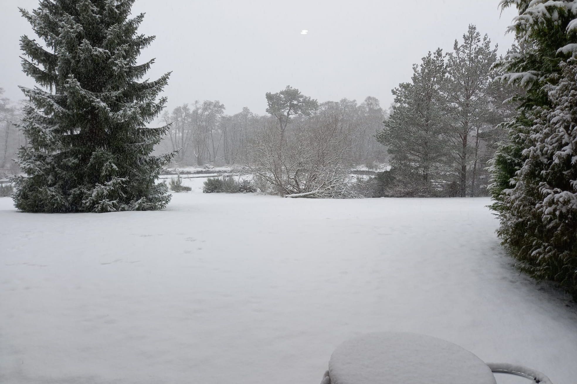 A snowy scene in Aviemore, Scotland (Michael Davidson/PA)