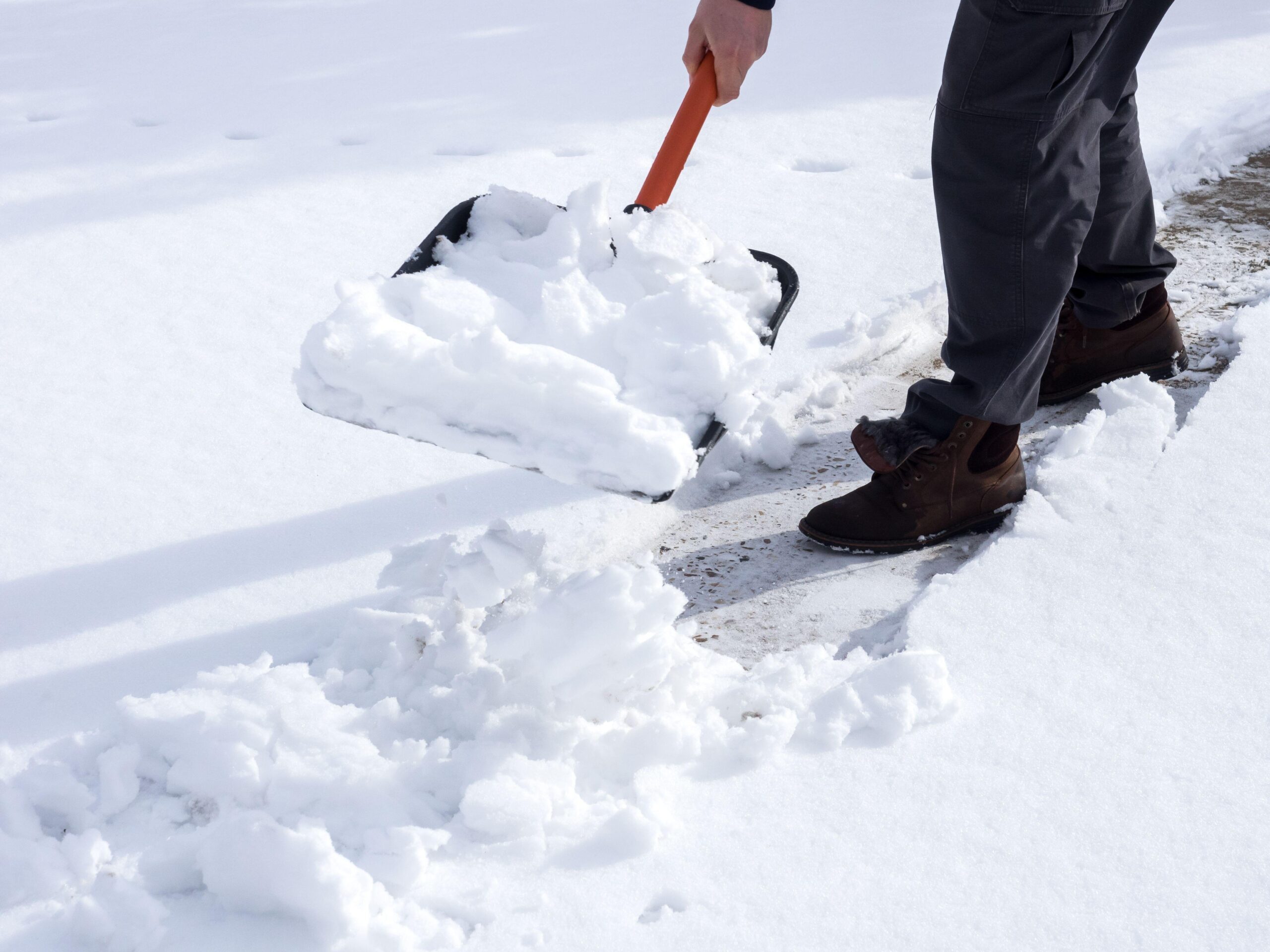Consider shovelling a patch of grass for your dog