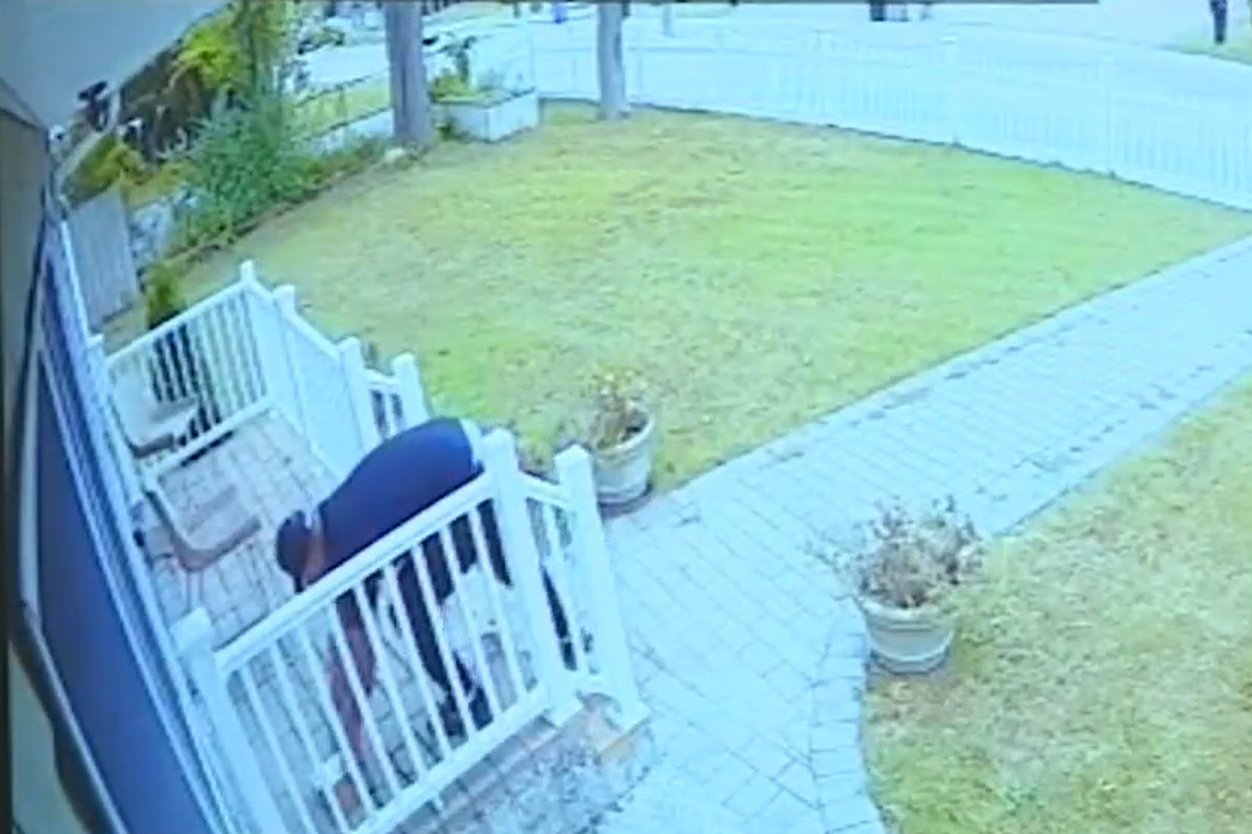 Video released by authorities shows one of the alleged theft ring stealing a package from a Long Island doorstep