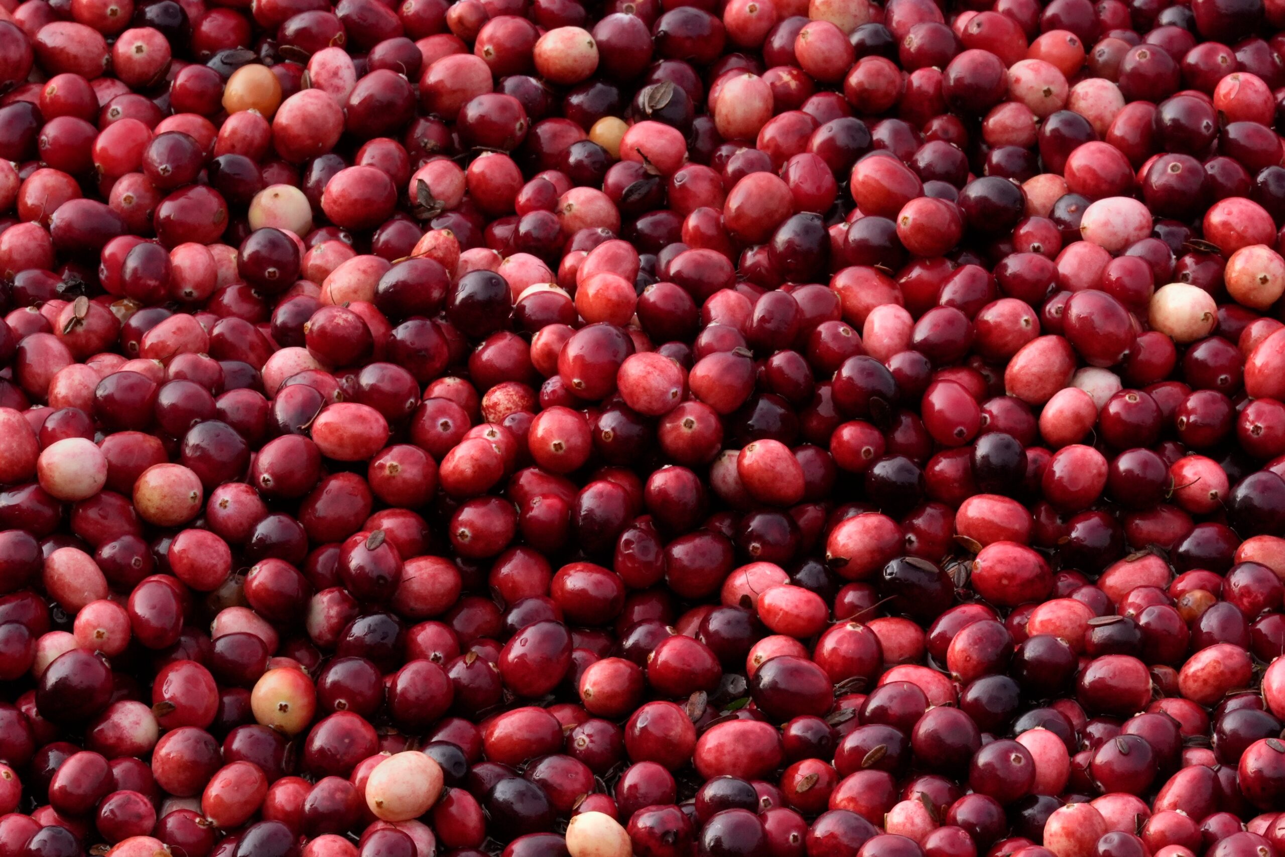 Cranberries, whether consumed as juice, supplements, or whole fruit, can interact with some warfarin and other anticoagulant medications, potentially increasing bleeding risk if intake suddenly increases.