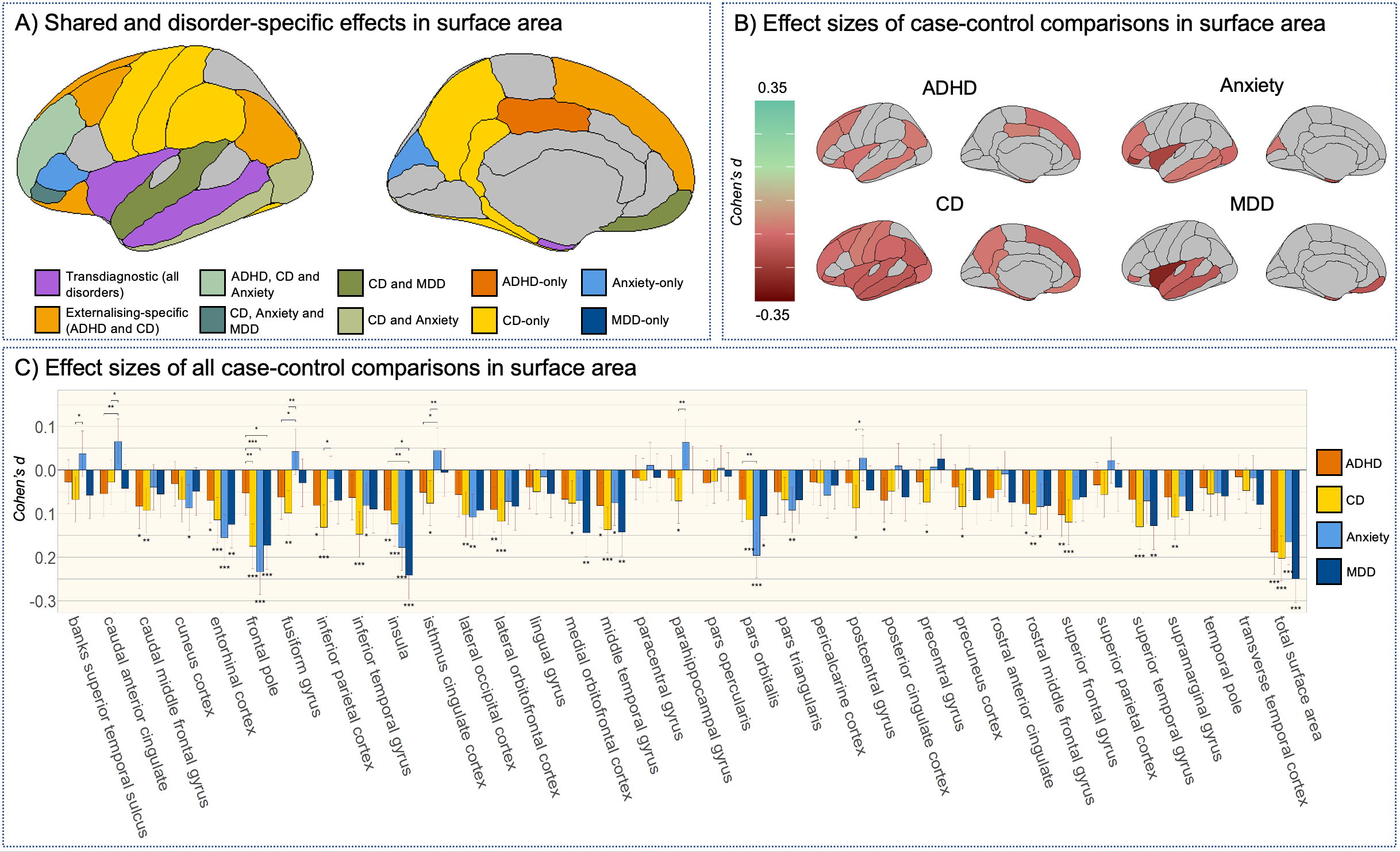 Brains with either of the four conditions tended to have a reduce surface area in regions responsible for processing emotions, responding to threats and maintaining awareness of bodily states