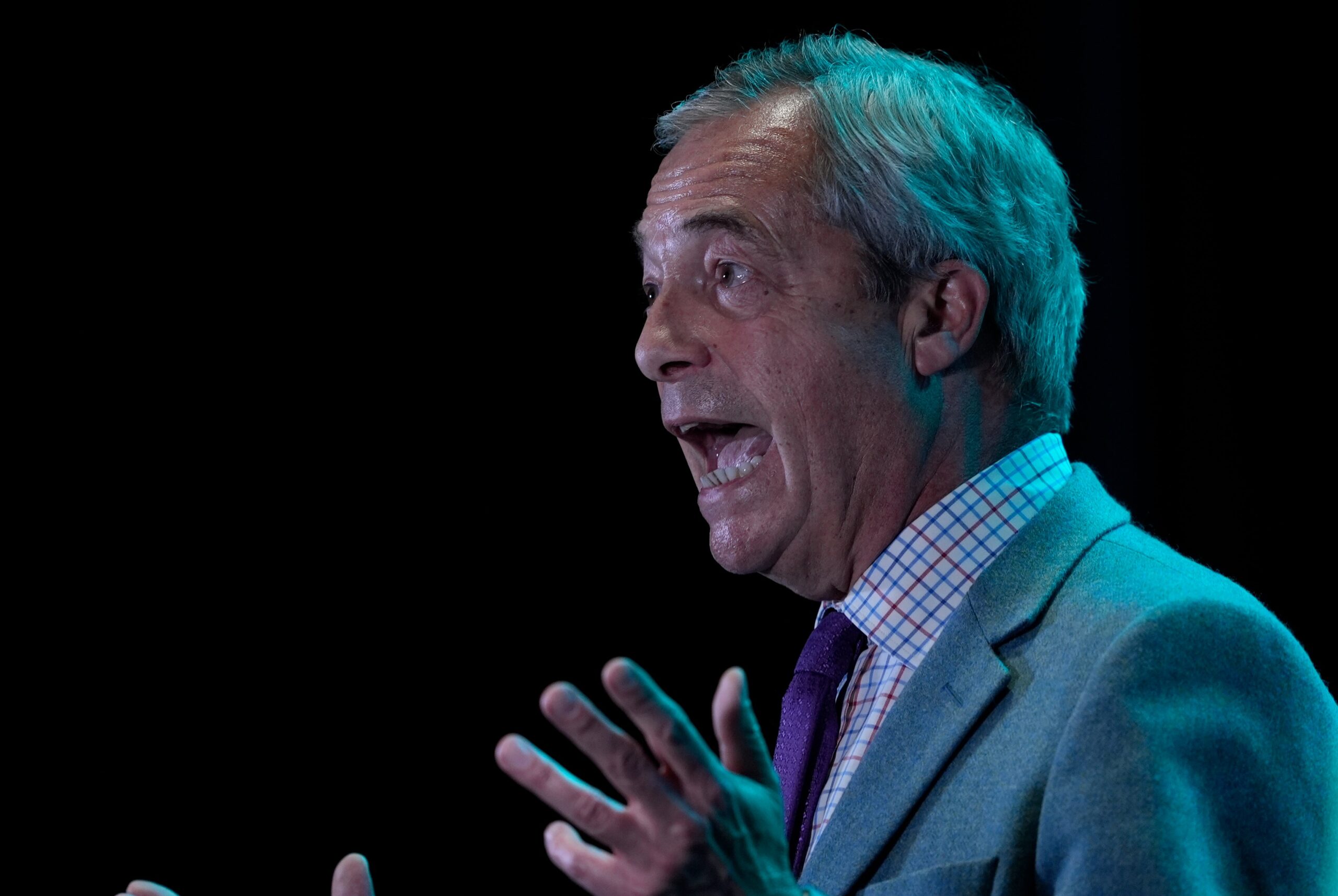 Nigel Farage denies making the comments