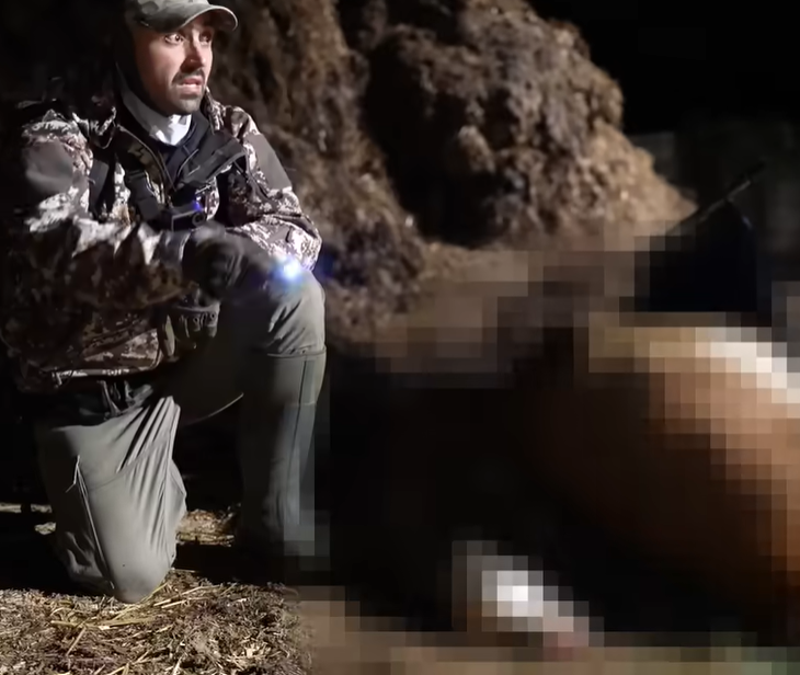 Joey Carbstrong says he found decomposing cows outdoors at Polshea Farm