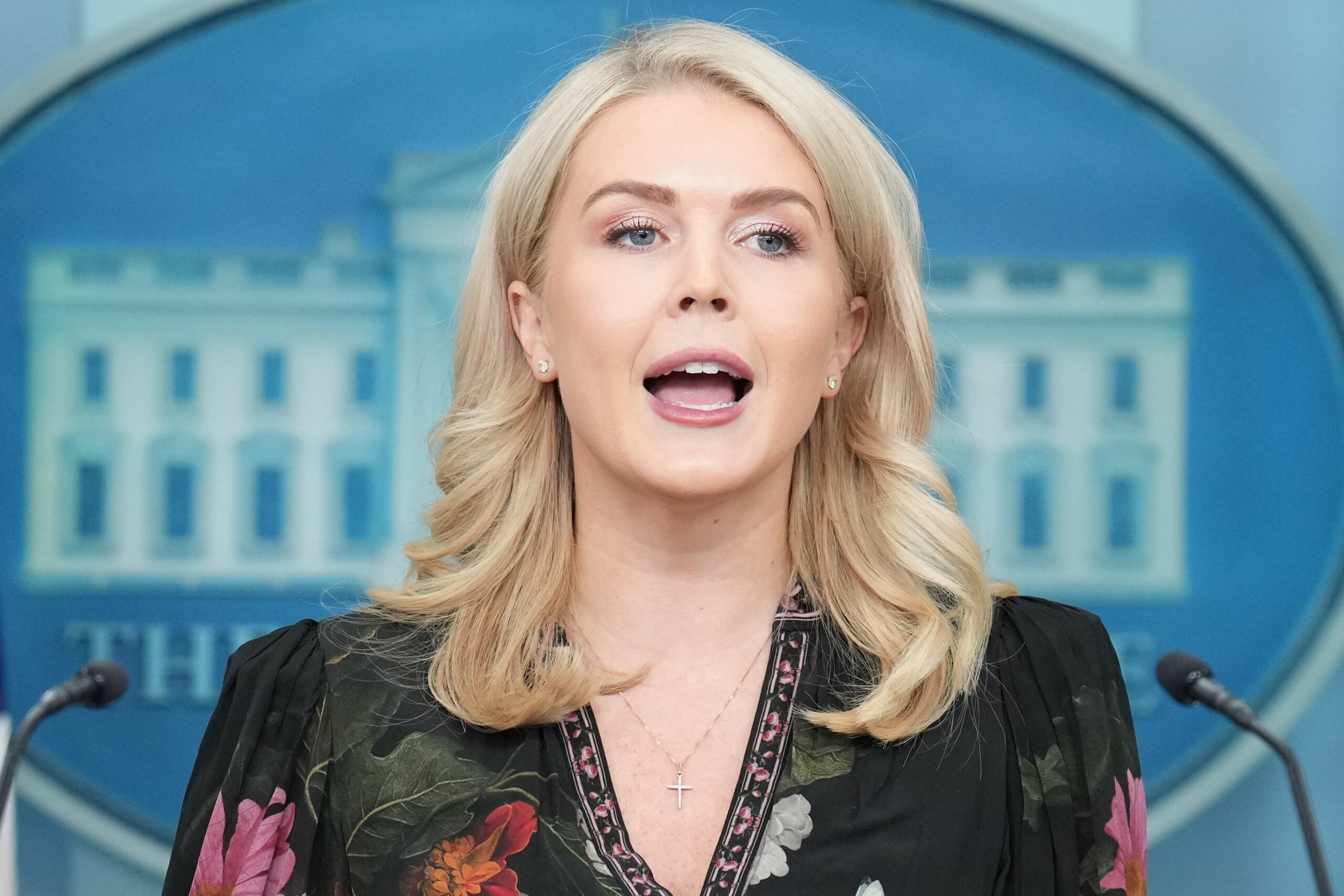 White House Press Secretary Karoline Leavitt on Tuesday claimed there is “blatant fraud” in California’s elections on account of the state’s widespread use of mail-in ballots.