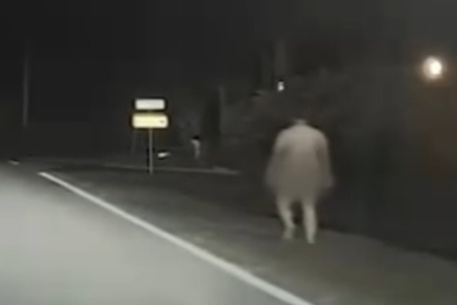 Anthony Day, 41, allegedly told officials earlier this month that he was walking down the road naked because he was taking part in a TikTok challenge