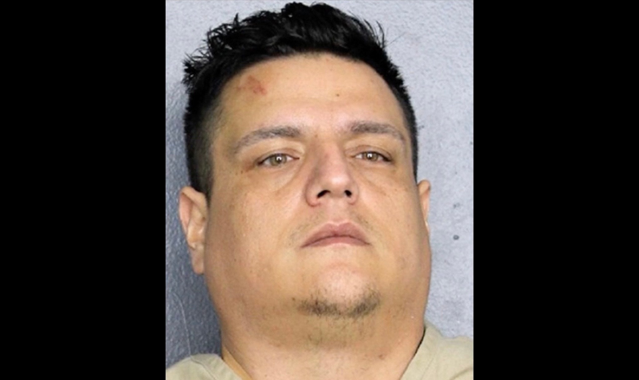 Mario Alejandro Ramirez was arrested in Florida after he allegedly stabbed his pregnant wife to death in front of their three kids.