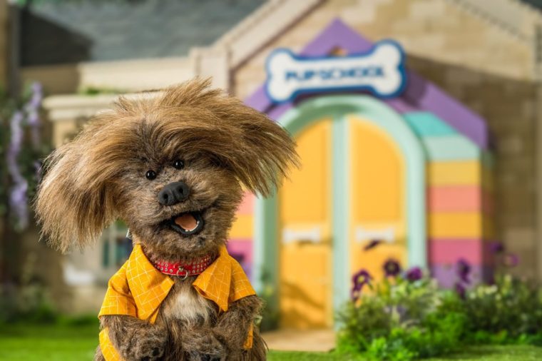 TX DATE:,TX WEEK:40,EMBARGOED UNTIL:,DESCRIPTION:Dodge,COPYRIGHT:BBC Public Service,CREDIT LINE:BBC/Brilliant Trees Media in partnership with Nest Productions/Jon Lowe