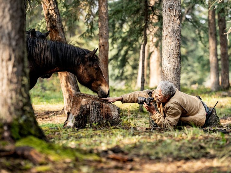 TX DATE:21-12-2025,TX WEEK:51,EMBARGOED UNTIL:25-11-2025 00:01,DESCRIPTION:in Canadian Rockies, interacting with a wild horse **Embargoed until Tuesday 25th November 2025 00:01**,COPYRIGHT:Hello Halo Productions,CREDIT LINE:BBC/Hello Halo Productions/Guthrie O'Brien