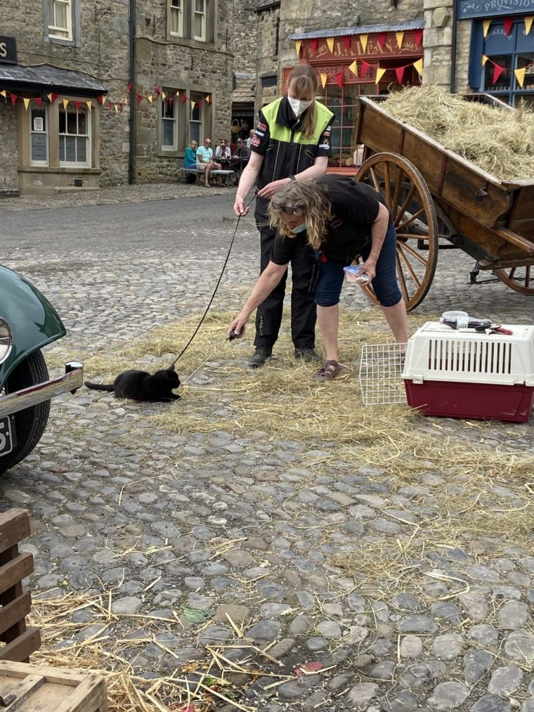 Jill in Grassington All Creatures Great and Small Animal handler Provided by SLM@playgroundentertainment.com