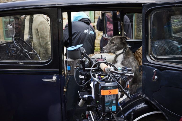 ACGAS5 - Unit Stills - Day 7 All Creatures Great and Small Animal handler Provided by SLM@playgroundentertainment.com