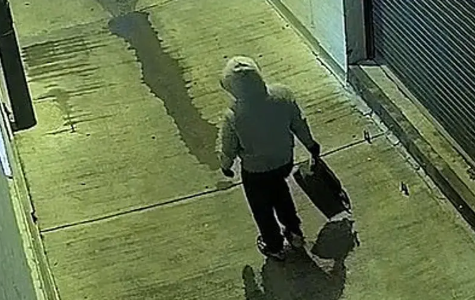 FBI footage of the individual suspected of placing pipe bombs at the RNC and DNC headquarters