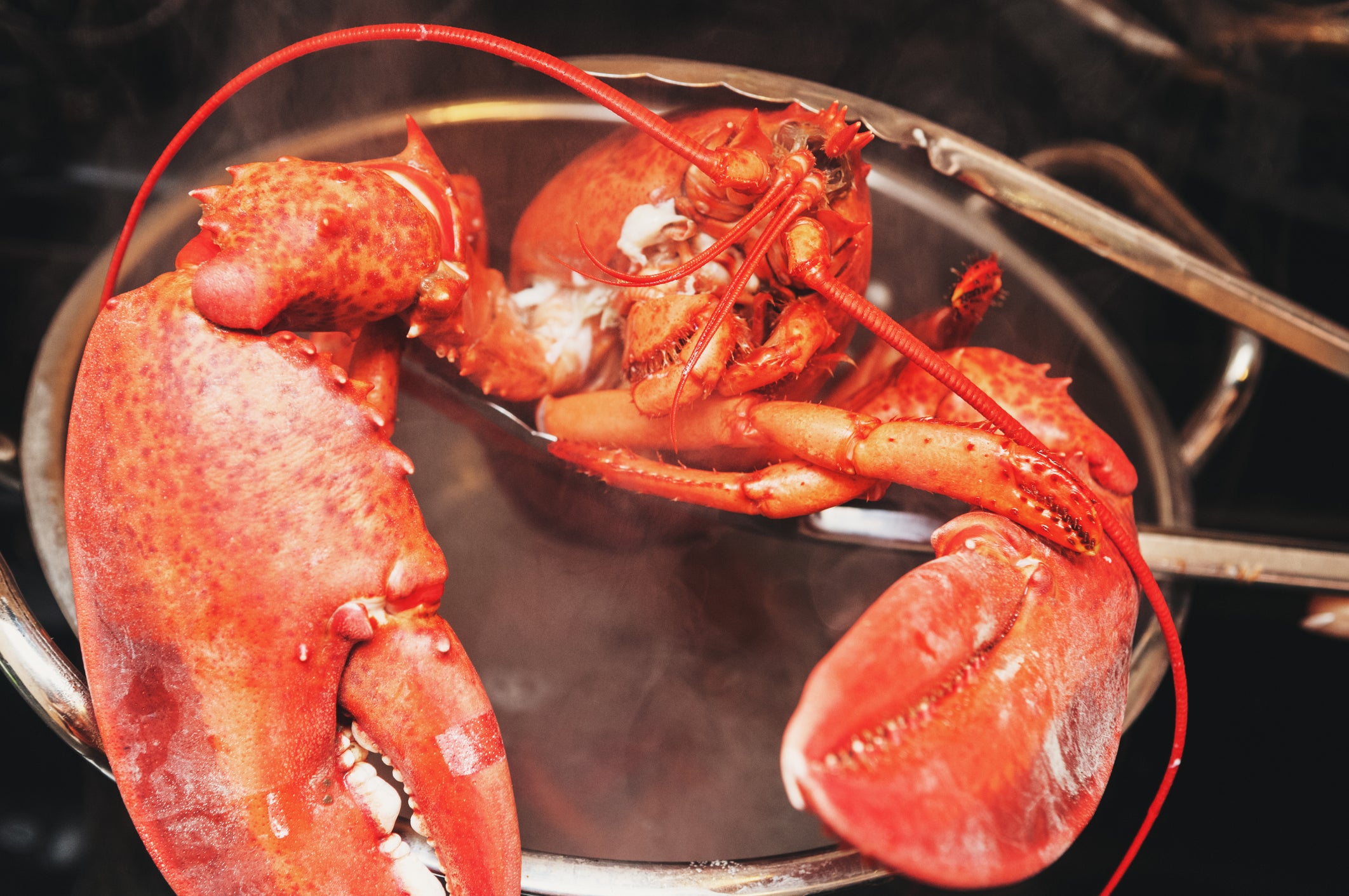 Ministers also called for changes in the supply chain of lobsters