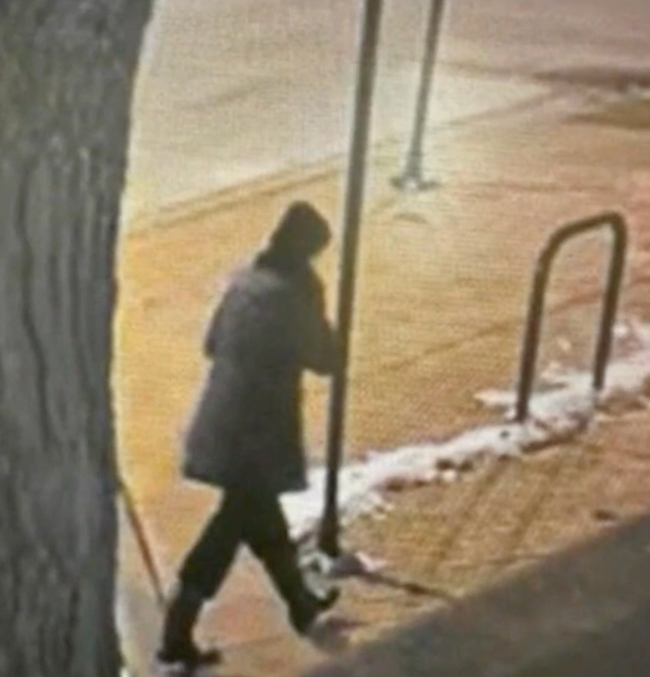 Surveillance video showed Brown parking her car around 3 a.m. that day, getting out alone and walking toward a pedestrian bridge leading to the lakefront